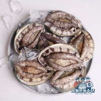  [오늘은농수산] 전복 1kg 선물세트(1kg x 2개 포장가능)