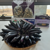 [만원의 행복] [여주 특산물] 대왕님표 여주 건 가지(200g/600g)