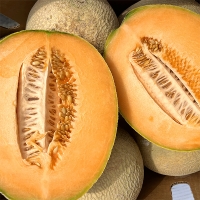 프리미엄 칸탈로프 메론(푸)