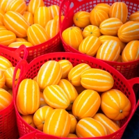 [부엌애] 성주 고당도 꿀참외 중과 3kg/5kg