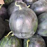 고당도 프리미엄 흑수박(푸)