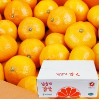 [농협공판장] 정성드린 제주 칠십리 조생 감귤 5kg(M-2S/47-94과내)