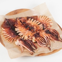 [단짠예찬] 국내가공 원양산 반건조오징어 5/10마리(마리당120g내외/낱개포장)