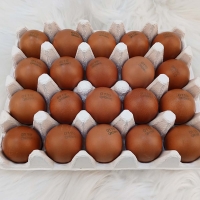 건강한  닭이  낳은  자연방사  난각 1번 유정란 /동물복지 난각  2번 유정란 (20구/40구/60구/80구)