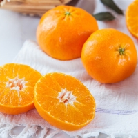 [농협] 한아름드린 제주 노지감귤 2kg/3kg/5kg (사이즈M)