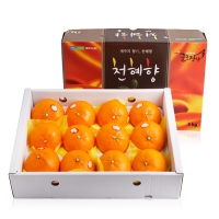 [농협공판장] 정성드린 천혜향세트 3kg(10과내)  1박스/2박스