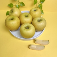 (정품) 시나노골드 사과 중대과 로얄사이즈 (일반포장) 아삭 단단 시나노 3kg / 5kg