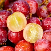 (제)체리크러쉬 &  파이어크런치