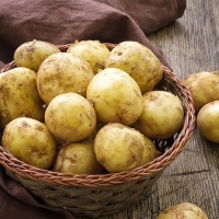 [만원의 행복] 감자 포슬포슬 국산 감자 수미감자 햇감자