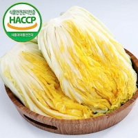 [예약배송] [강원도 고랭지_HACCP] 4차세척/속이꽉찬 절임배추 10kg(4-5포기)