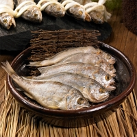 [영광굴비] 명품 오가굴비 10미 [1.1kg-1.4kg] 