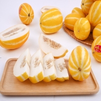  [산지직송]달콤한 과즙 아삭아삭한 식감 성주 참외 1kg/1.5kg/2kg/3kg