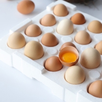 (난각번호 1번) 자연방사 방목 유정란 계란 달걀 30구 (52g이상 특란 무선별 배송) 계란