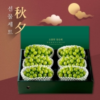[위프레시] 명품15호 샤인6수 4kg