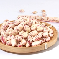 [자연속애] 제철미각 껍질째 그대로 호랑이(얼룩) 강낭콩 2kg/3kg/4kg/5kg