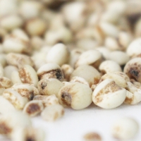 (24년산) 홍성농부의 율무 1kg 직접도정