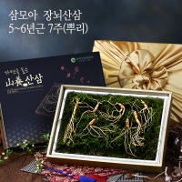 [삼모아] 산양산삼 5-6년근 5/7/10뿌리(보은세트) /우드락+패키지케이스+공단보자기