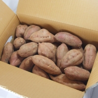 [고구브팜] 호박고구마 촉촉 달콤 호구마 2kg 5kg 10kg