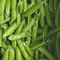 [오커최고] 톡톡 완두콩 껍질 완두콩 500g 1kg