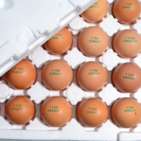 [보름데이]  자연방사 [난각 1번] 무항생제  유정란  (20구/40구/60구)