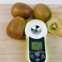 [보름데이] 키위최고 국내산 키위 골드키위 1kg 2kg