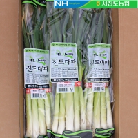 [서진도농협] 진도 대파 3단(3kg) 지리적표시인증