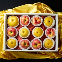 [오커브팜] 한상 사과배 선물세트 (사과 6과 + 배 6과)