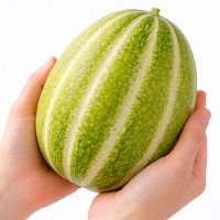 [보름데이] 경북 고령 파파야 메론(푸)