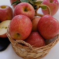 [주말특가]사과최고 달콤아삭 부사 사과 가정용 소과 중과 대과 혼합 