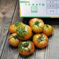 [농협공판장] 정성드린 GAP인증 부산 대저토마토 2.5kg(M-2S/16-20과내)