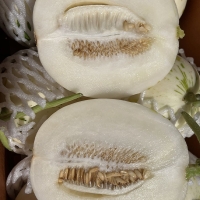 부드러운 과육  백자메론(푸)