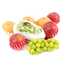 [1/19일부터 순차출고] [농협] 한아름드린 프리미엄 과일3종혼합세트 4.5kg내외(사과3입,배3입,샤인2입)