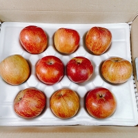 [주말특가]사과최고 달콤아삭 부사 사과 가정용 소과 중과 대과 혼합 