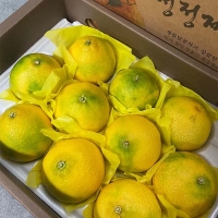 [신한카드 할인] [제주직송] 과즙이 풍부한 황금향