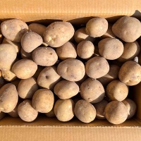 [신한카드 할인] 감자  (수미 or 두백)  