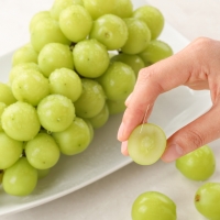 [부엌애] 당도선별 김천 프리미엄 샤인머스켓 1.3kg/2kg