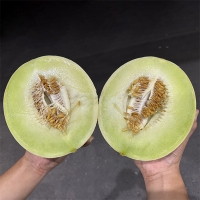 고당도 허니듀메론(푸)