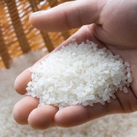 디자인농부 25년산 신동진 햅쌀  - 상등급 백미 10kg   