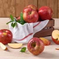 [오커최고] 홍로 사과 달콤 꿀사과 1~3kg