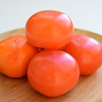 [오커최고] 씨없는 반시 말랑 반시 2.5kg