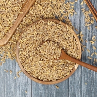 (25년산) 홍성농부의 국내산 호라산밀 1kg 카무트 국내산