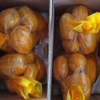  국내산 -가정용 성주참외 중과 5kg (15-22과내외)- [산지]