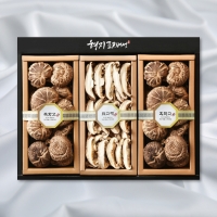 [형지] 흑화고 특2호(흑화고110g+표고채100g+흑화고110g)