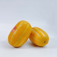 [으뜸] 산지직송 성주 꿀참외