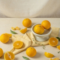 [황금최고] 제주 황금향 2kg 3kg 4kg 5kg  오커