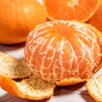 [오커마니] 제주 레드향 과즙 팡 하우스 레드향 일반포장