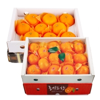 [제주향기] 탐나는 제주만감 2종묶음세트(천혜향3kg10-12과+레드향3kg10-12과)
