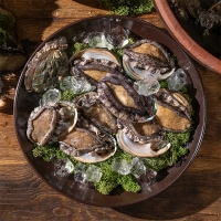 [전복캄스] 완도 전복 참전복 1kg 구이용 찜용 