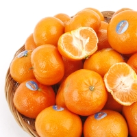 [농협공판장] 정성드린 미국산 귤 만다린 2kg/3kg