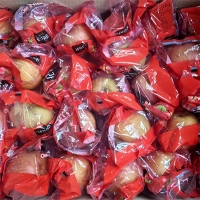 세척  부사사과(푸)